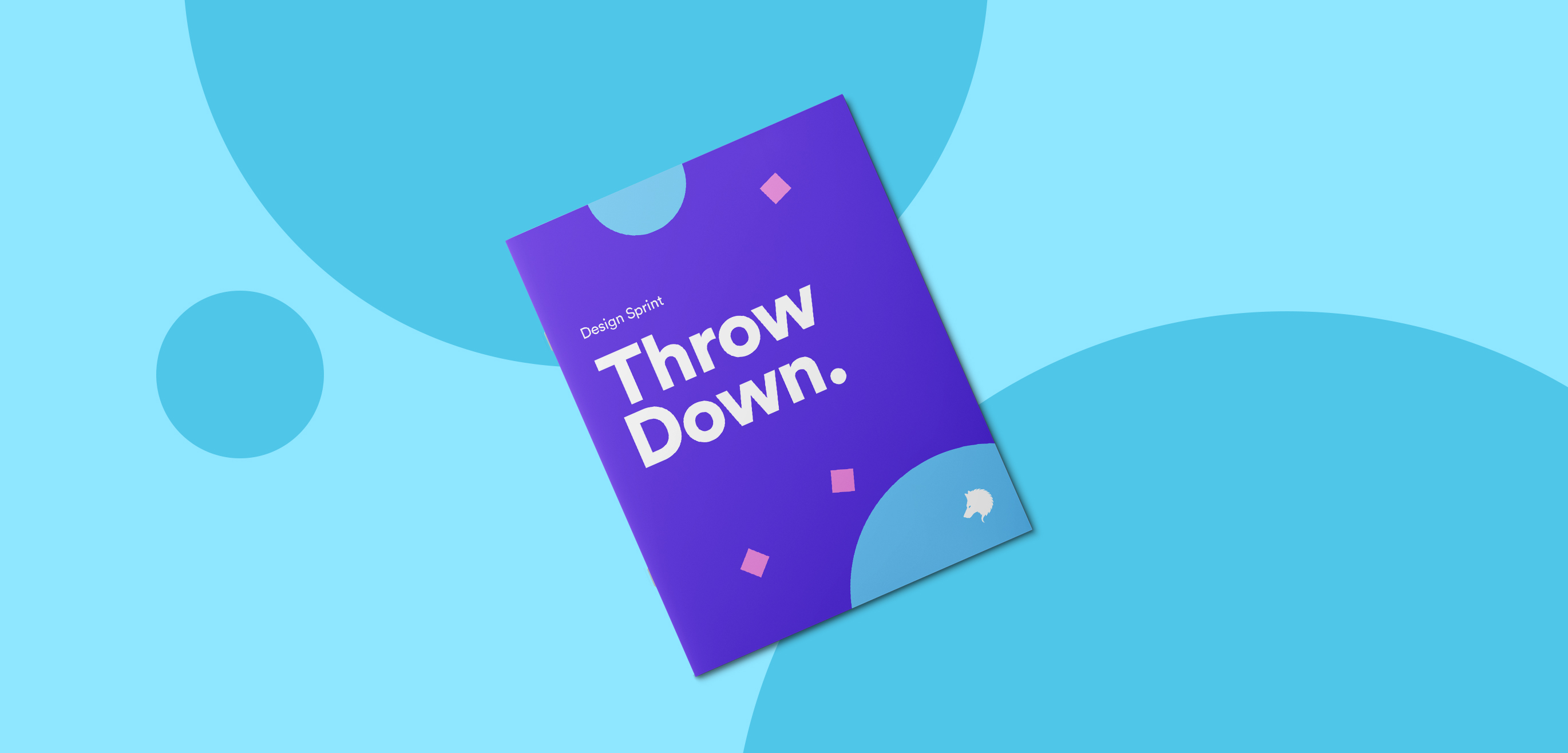 Throwdown_Booklet